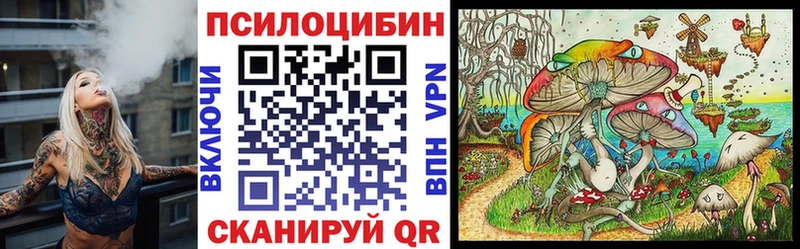 Псилоцибиновые грибы Psilocybe  сколько стоит  Волгоград 